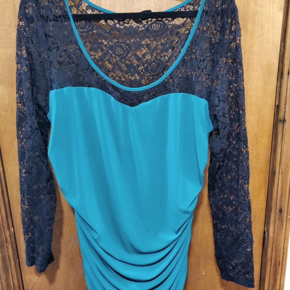 Amazing Lace Curvy Fancy Dress